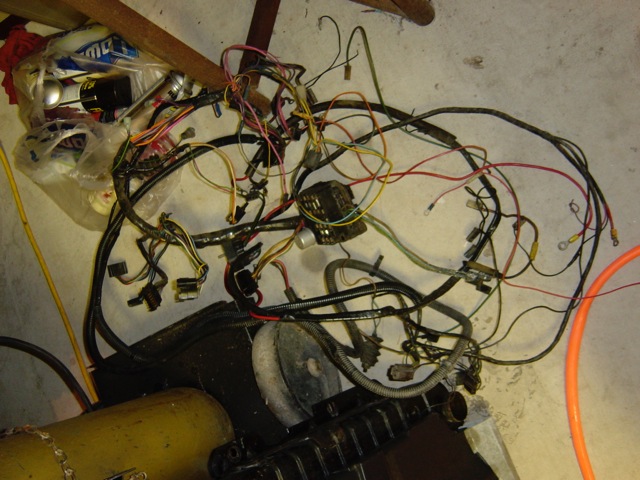 Loading Image